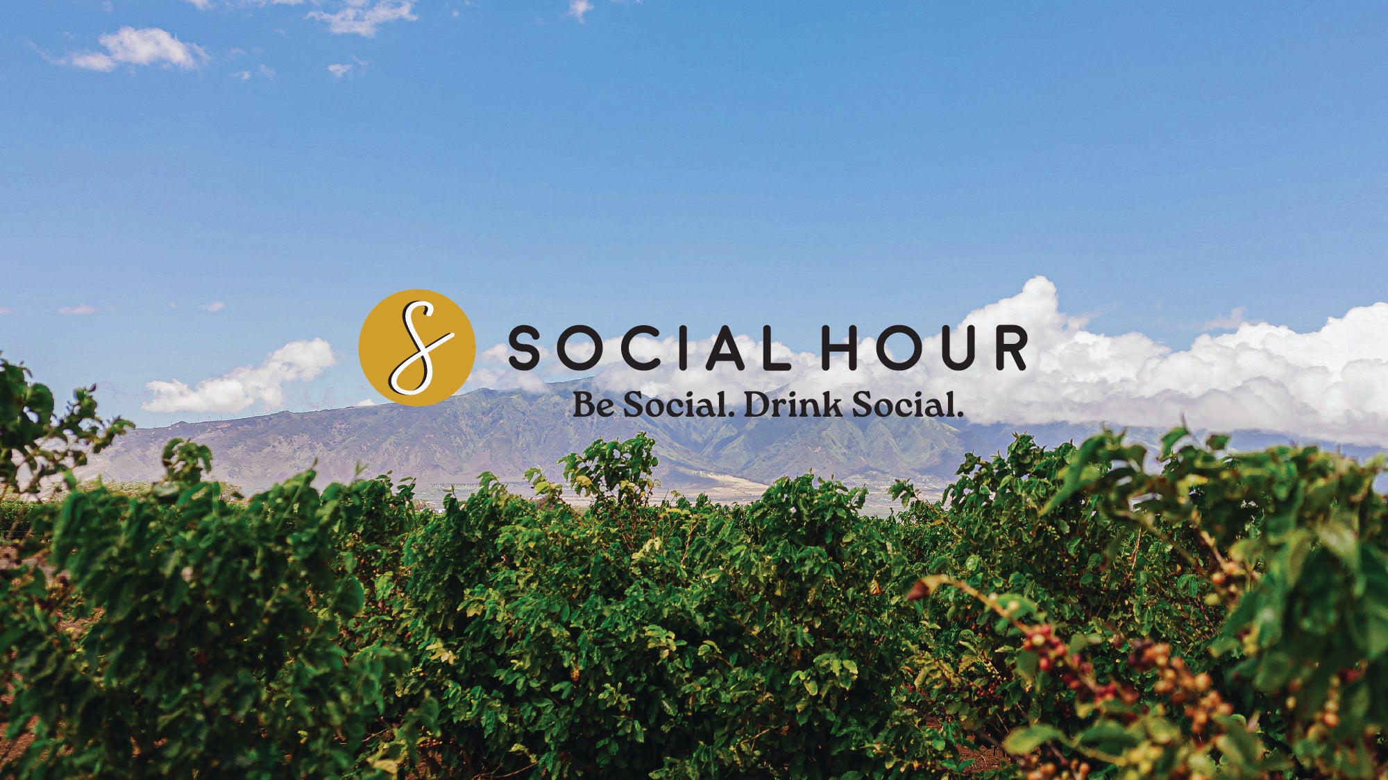 Social Hour Coffee Roasters photo 1 in Wailuku